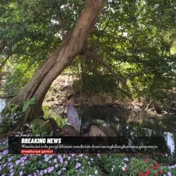 breaking news trend