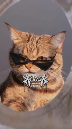 Milkshake 2รูป