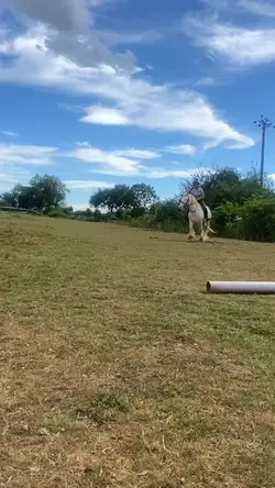 I’M OVER 18 CAPCUT