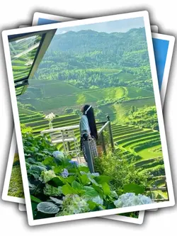 6Pic Frame Aesthetic