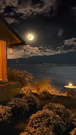 Nature lifeaesthetic