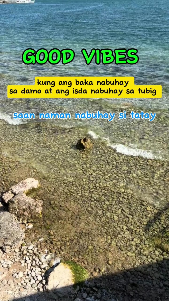 goodvibes/joketime