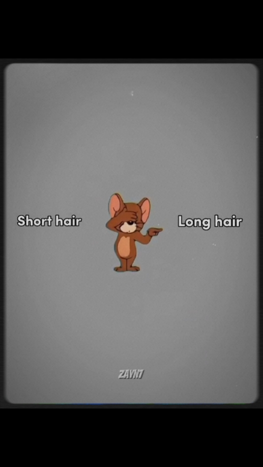 Modèle de cheveux longs 