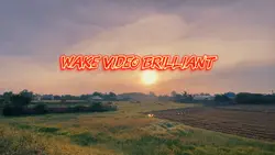 Wake Video Brilliant