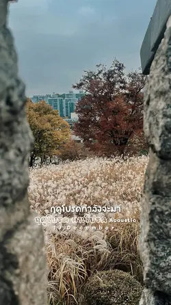 ฤดูโปรดคนโปรด 