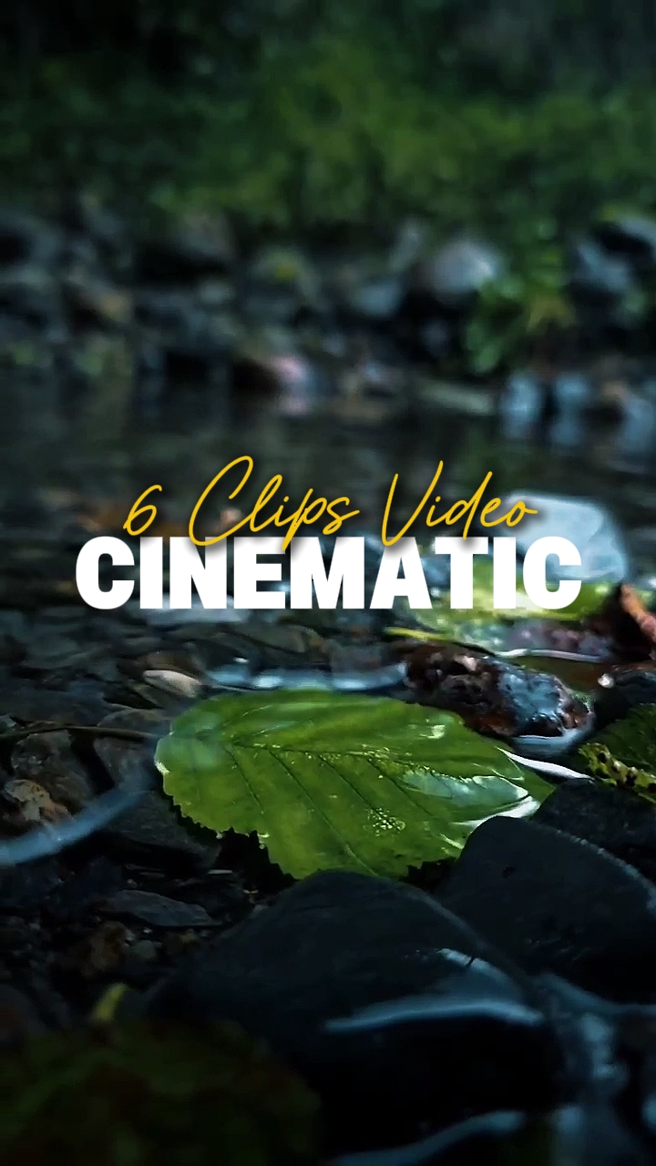 6 Clips Video 