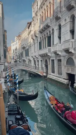 MINI VLOG CINEMATIC