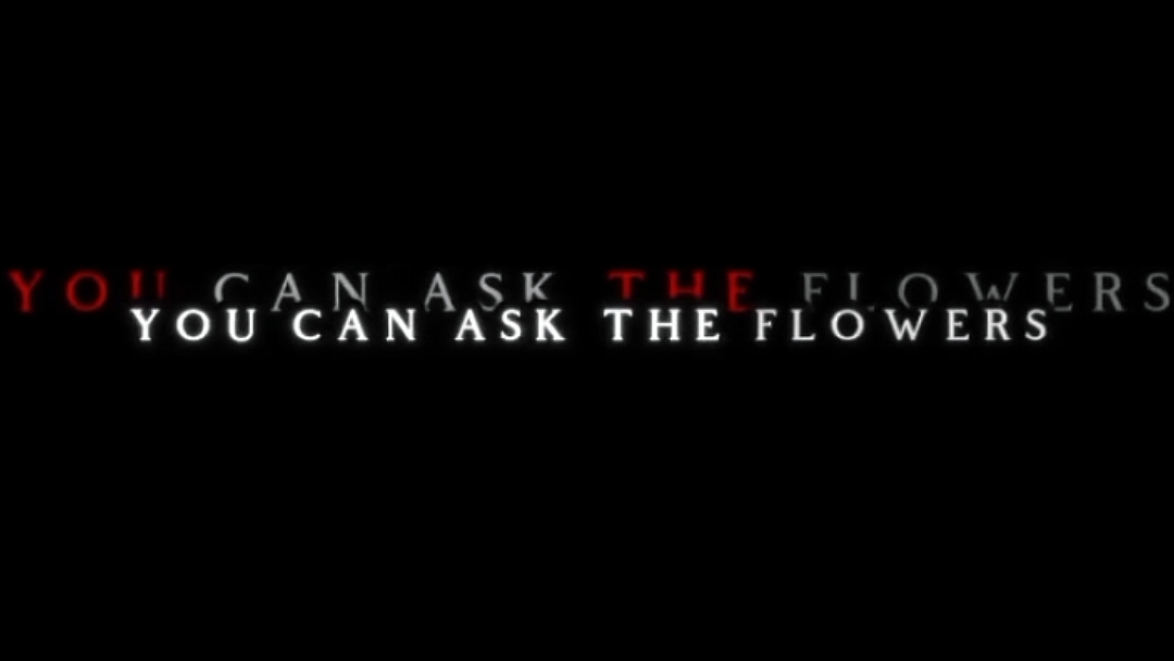 Cinematic Car 