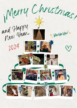 merrymerry Christmas