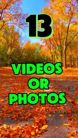 13 videos or photos 