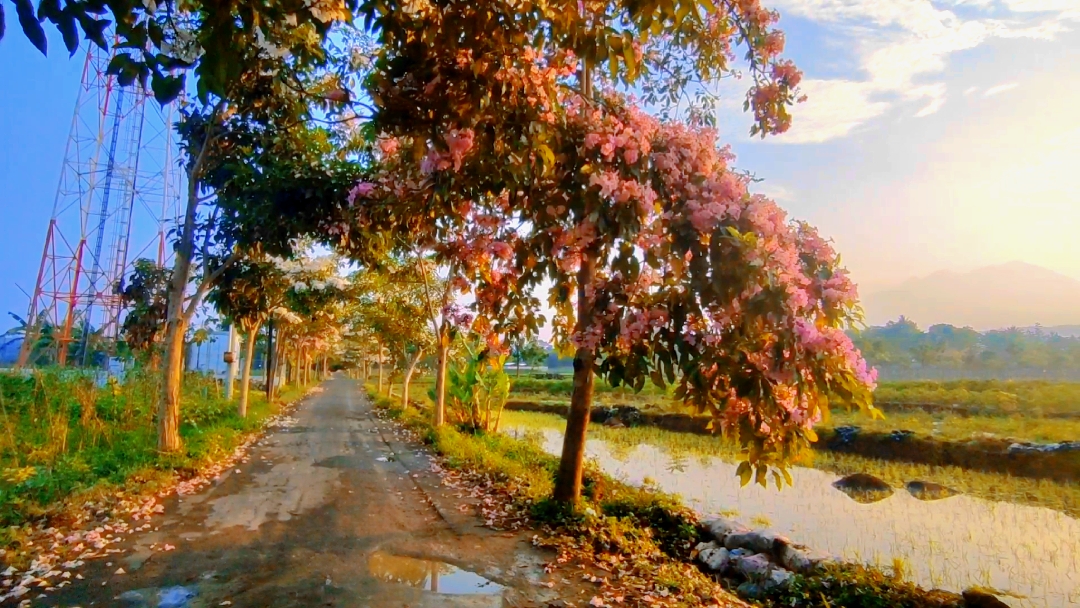 sifat sinematik 
