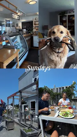 SUNDAY VLOG COLLAGE