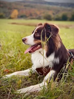 christmas timeeee🎄