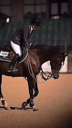 horse 