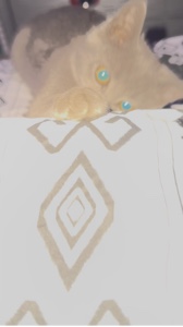 Eternity 