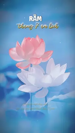 rằm tháng 7 - 2 ảnh