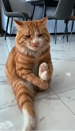 Sample funny