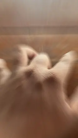 jj ayyooooolah
