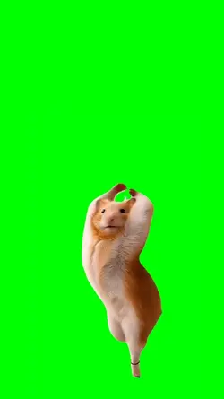 HAMSTER DANCE TREND
