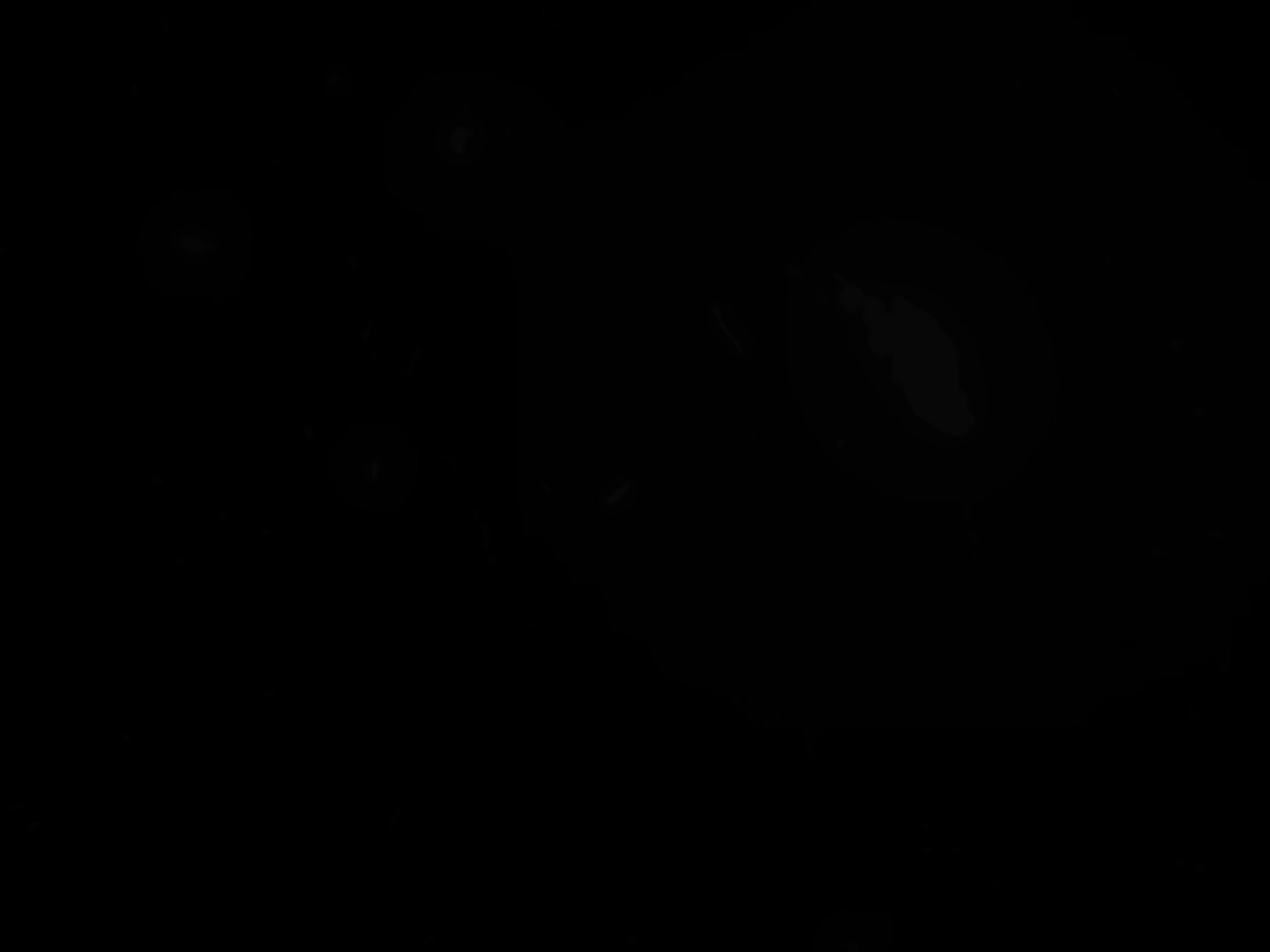 nomamedrtmaster