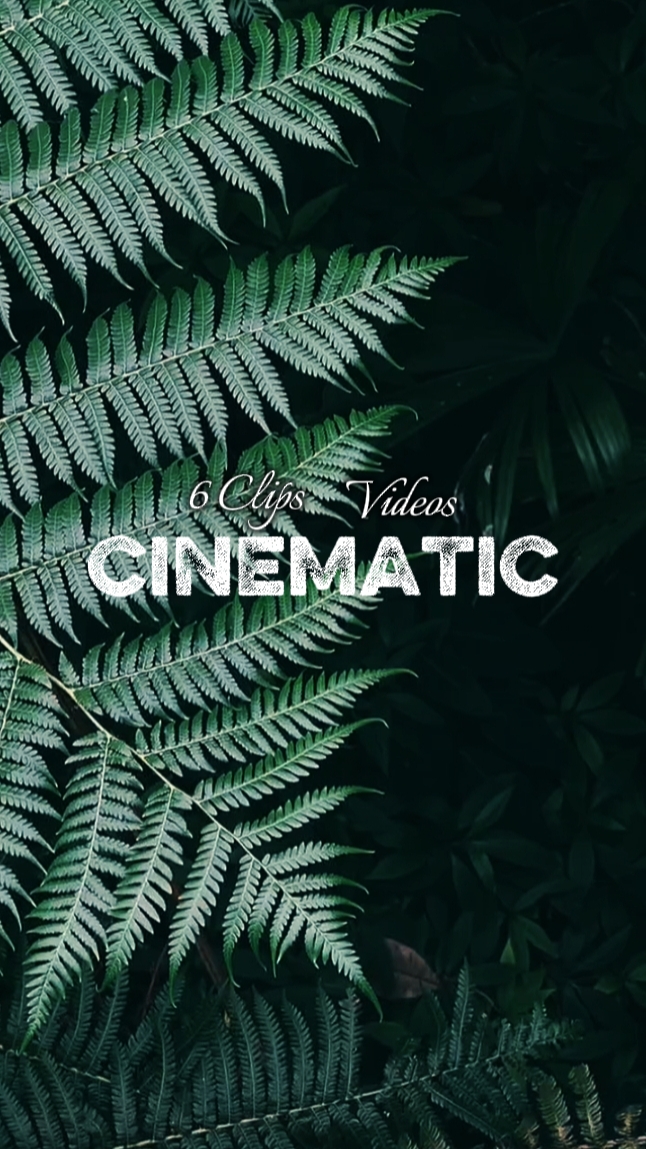 6 Clips cinematic