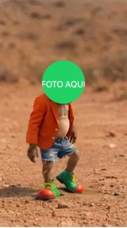 Zoe seus amigos 