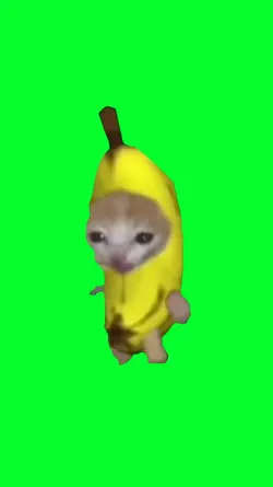 BANANA CAT