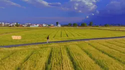 Lanscape slowmo