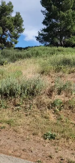 Paisaje