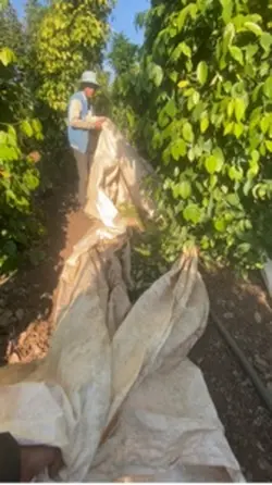 Làm nông
