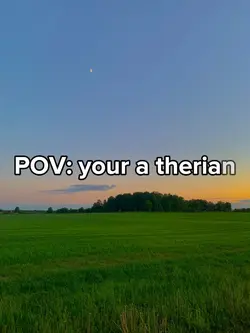 POV: your a therian 