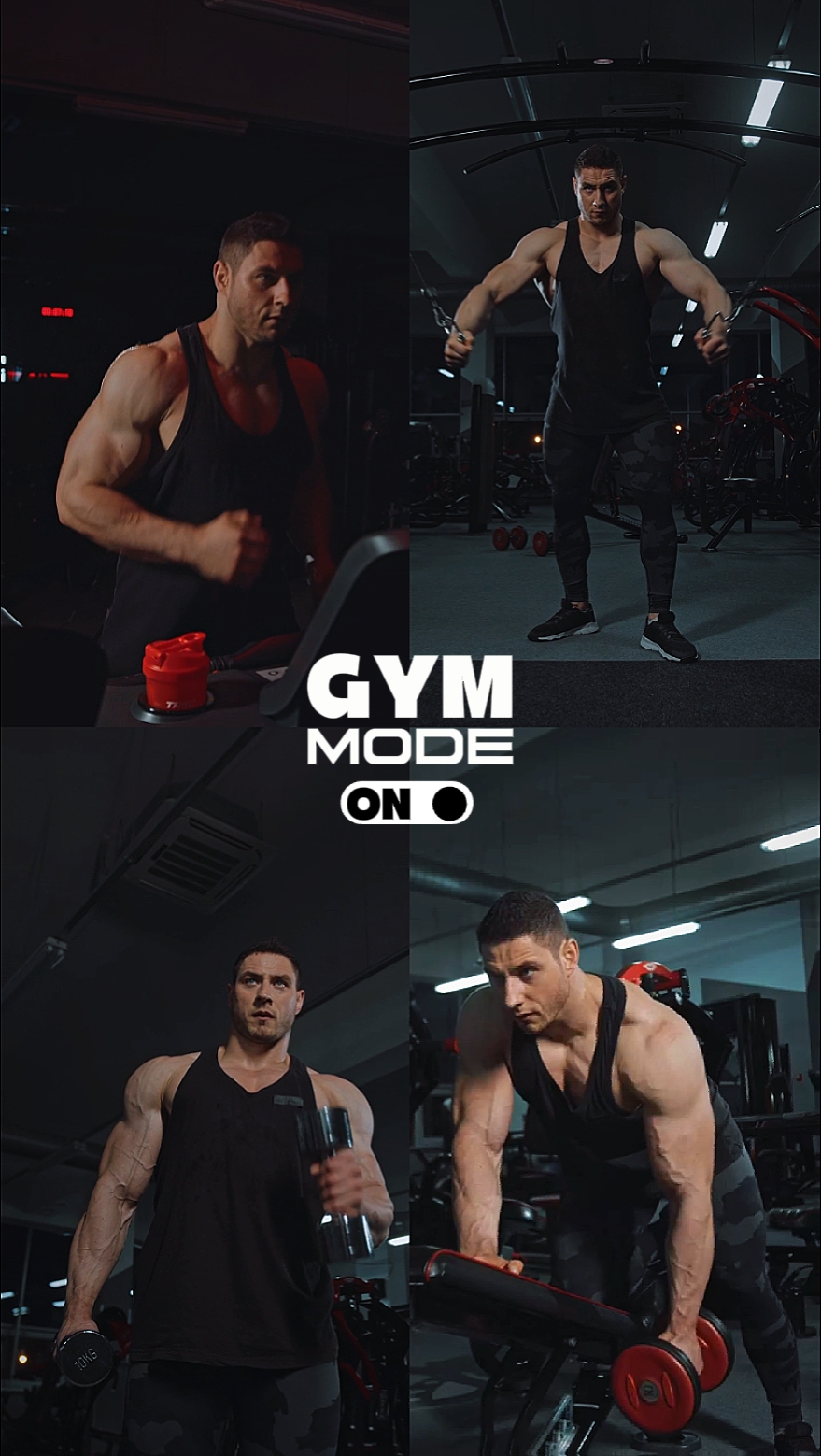 gym pro
