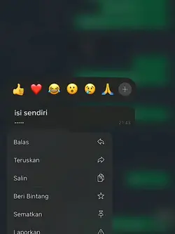 pesan Chet WhatsApp