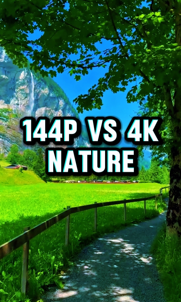144p vs 4k Nature