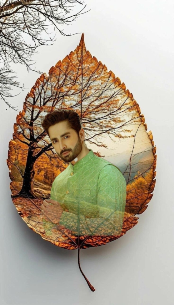 Cover Picture