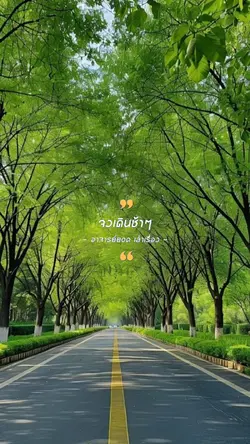 จงเดินช้าๆ