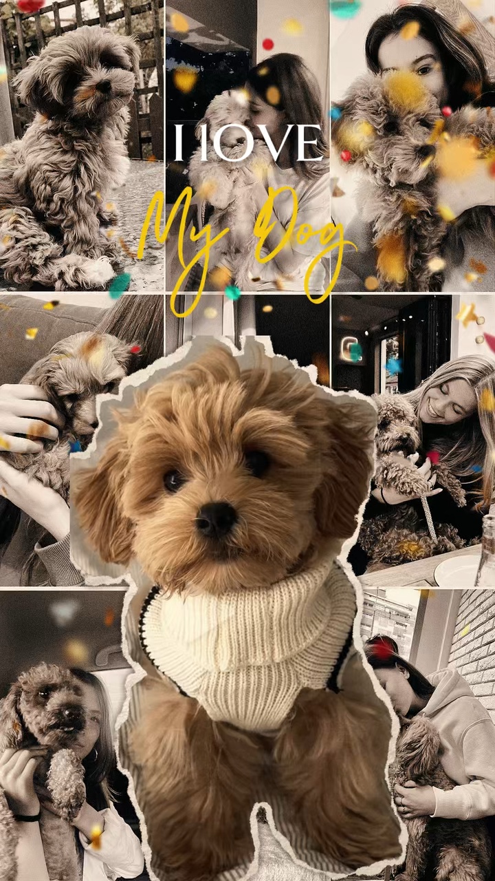 My dog 