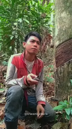 Kau Cari Yang
