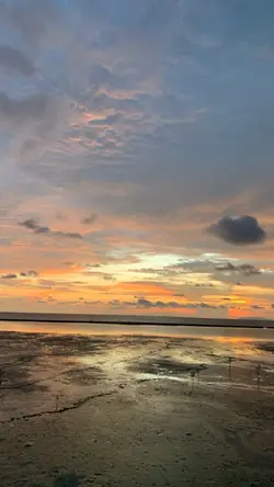 Sunset estetik