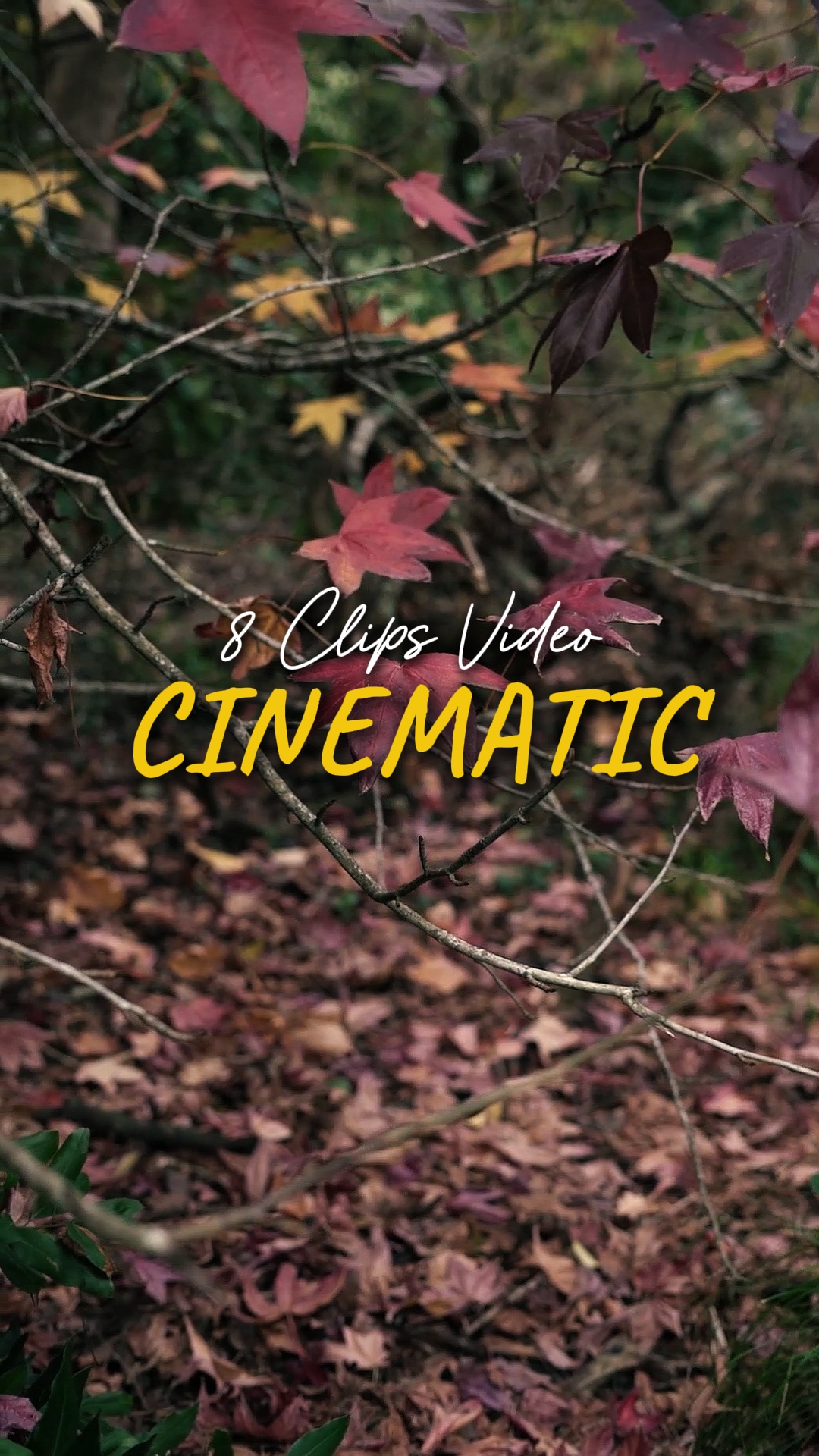 Sinematik 8 Video