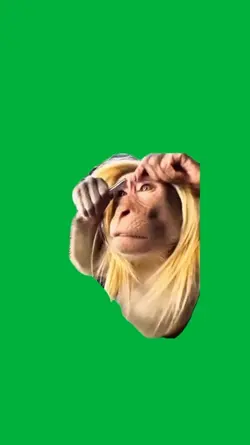 Monkey 