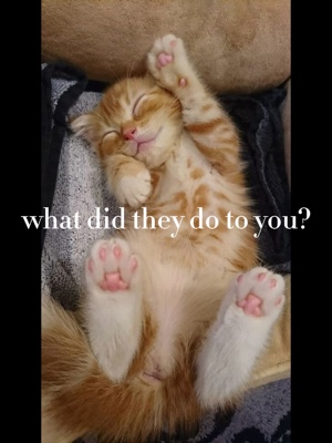 i’m better now❤️‍🩹