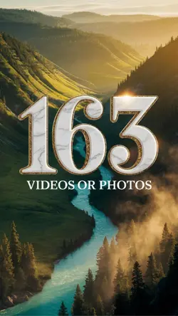 163 videos