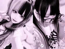 cat reincarnation＿