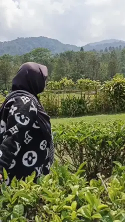 kembang perwan slow
