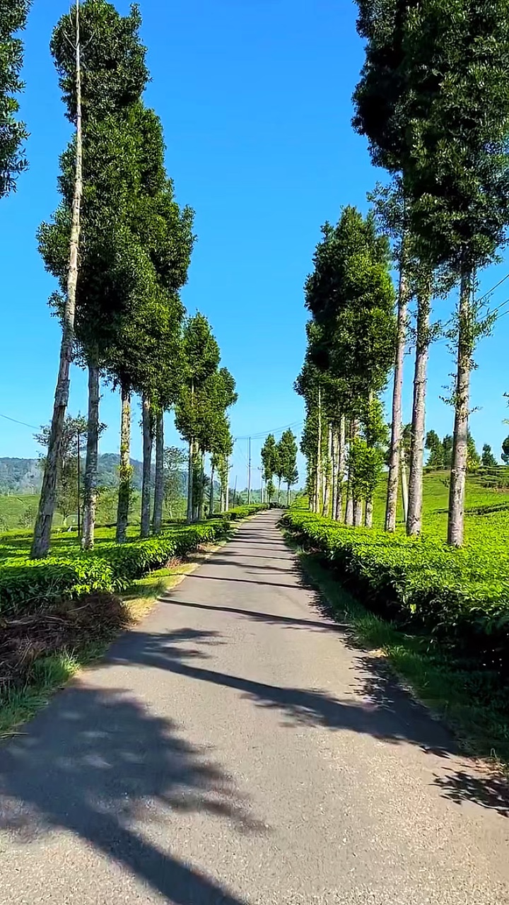 roadtrip nature