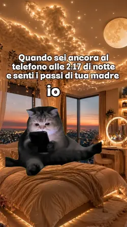 cat meme