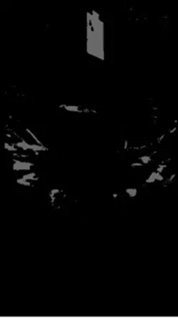 熱帯夜　📸3枚