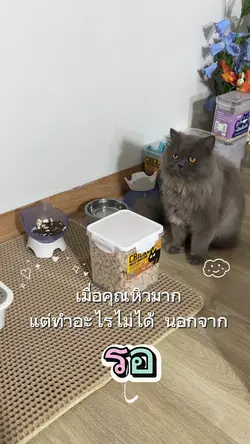 ให้รออีกนานไหม หิวแล้วนุด