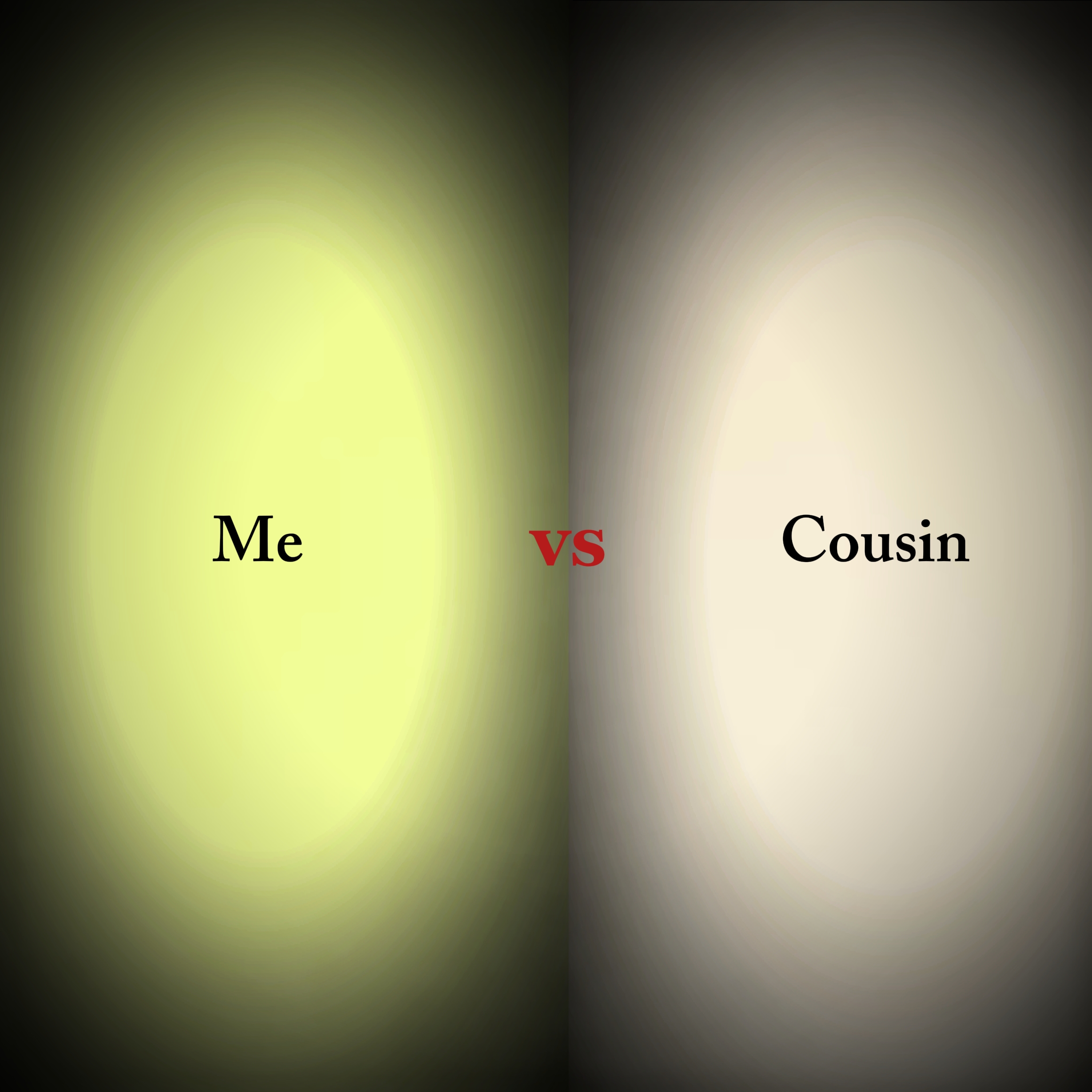 EU VS PRIMO